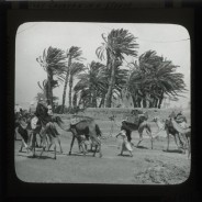 Böhl glass slide 60./1412